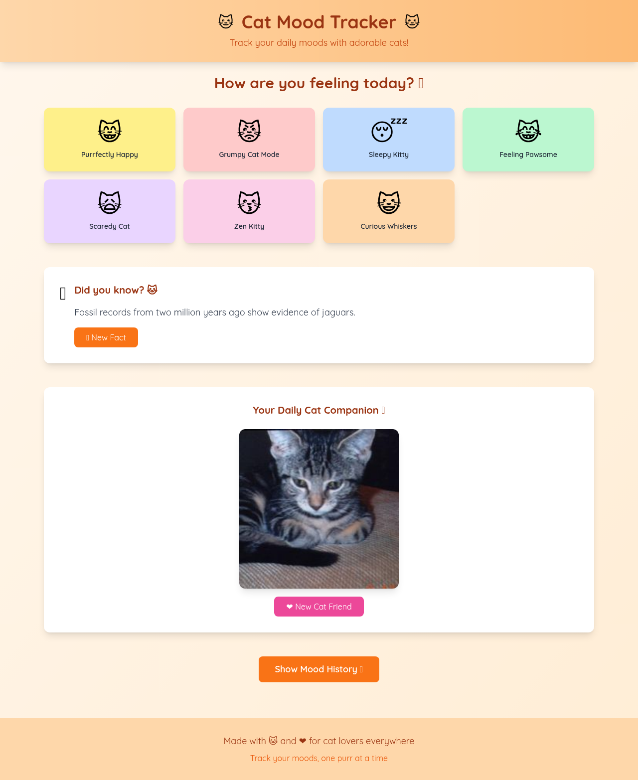 catmoodtrack app