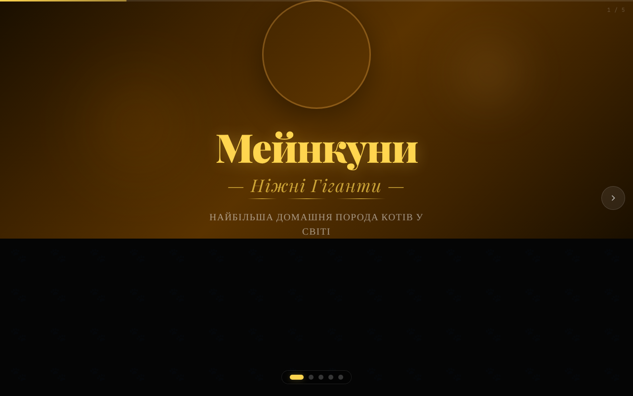 mainecoon-ua app