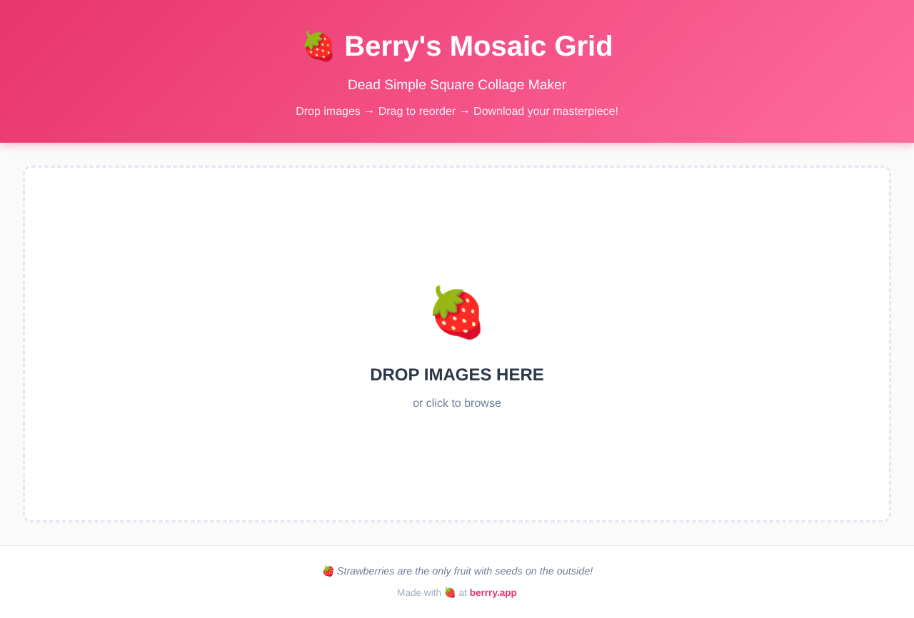 mosaic app