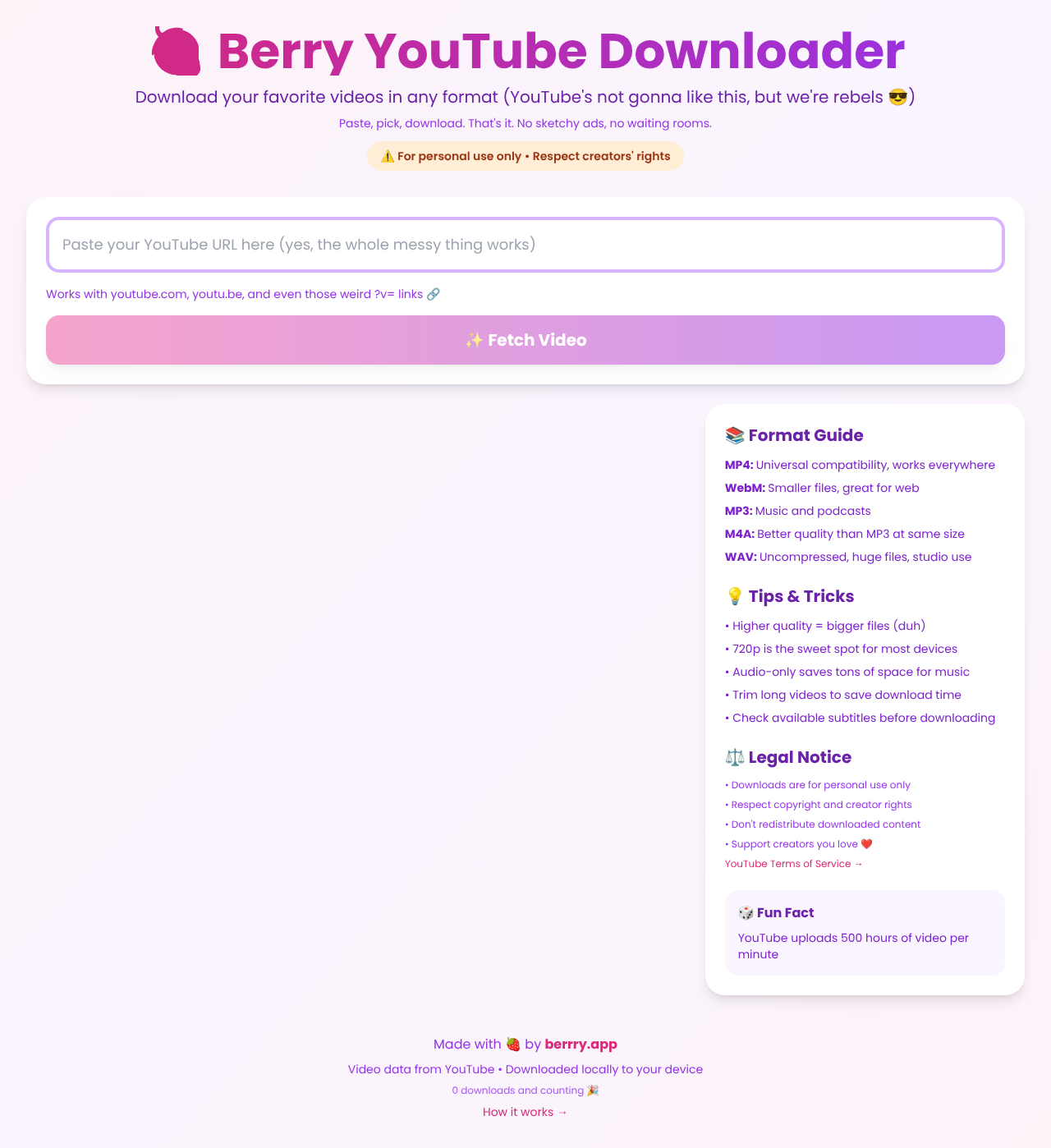 Berry Video Downloader screenshot