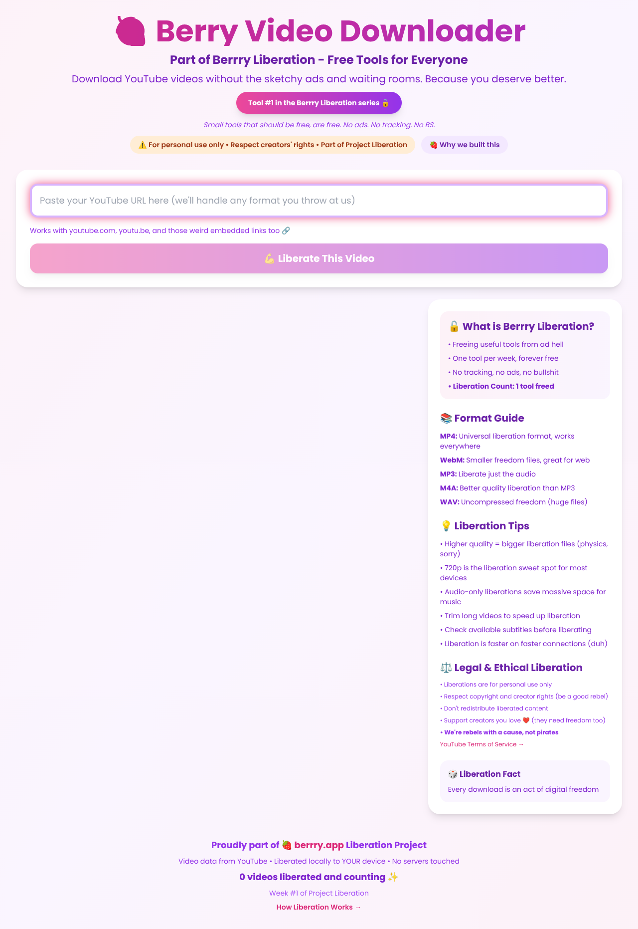 Berry Video Liberator screenshot
